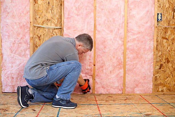 Best Insulation Installation Services in Bridgetown, OH